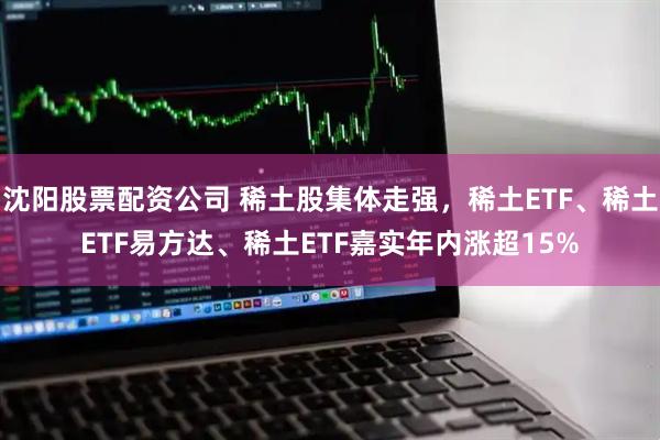 沈阳股票配资公司 稀土股集体走强，稀土ETF、稀土ETF易方达、稀土ETF嘉实年内涨超15%