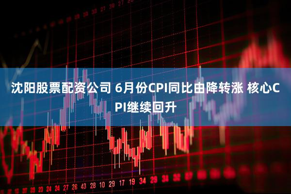 沈阳股票配资公司 6月份CPI同比由降转涨 核心CPI继续回升