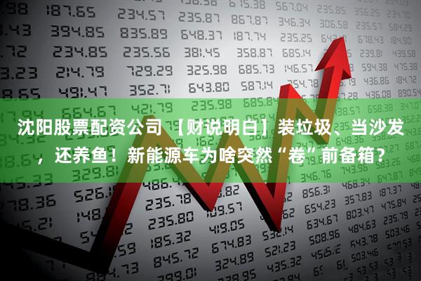 沈阳股票配资公司 【财说明白】装垃圾、当沙发，还养鱼！新能源车为啥突然“卷”前备箱？