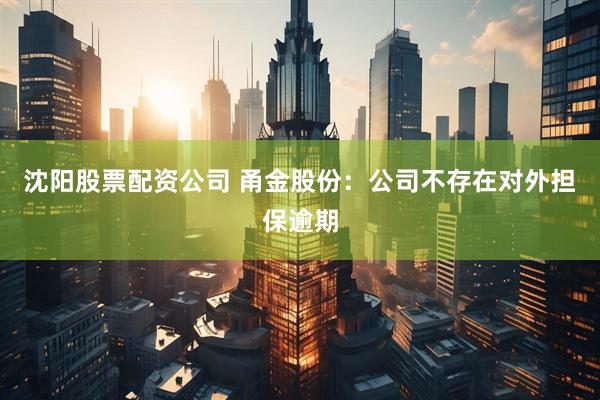 沈阳股票配资公司 甬金股份：公司不存在对外担保逾期