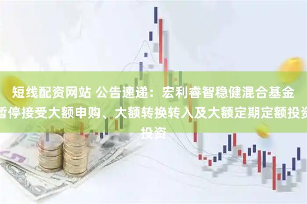 短线配资网站 公告速递：宏利睿智稳健混合基金暂停接受大额申购、大额转换转入及大额定期定额投资